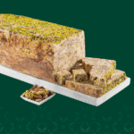 Cocoa Pistachio Rahash